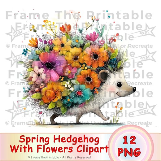 Spring Hedgehog Clipart Watercolor Cute Woodland Animal Flowers PNG, Floral Hedgehog Illustration, Nursery Baby Shower Scrapbooking Cards - Etsy