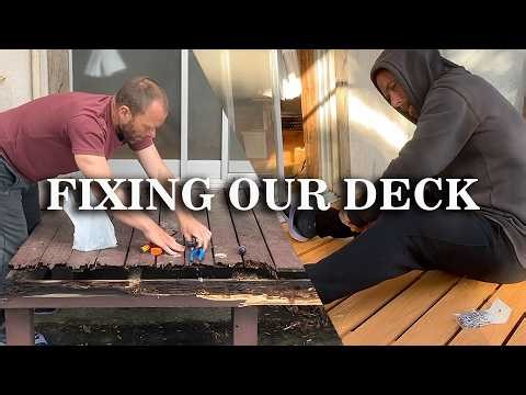 Life in Rural Japan | Fixing Our Rotten Deck,Bees, Bugs & Island Life