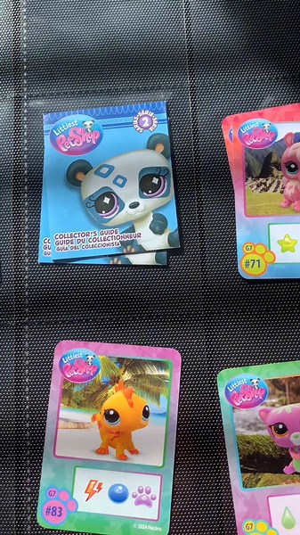 How I store my LPS cards! I got tired of them just sitting there so 🫶💗 #lps #lpstiktok #wolfganglps #lpsg7