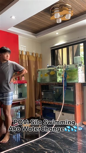 Easy Fish Tank Water Change Guide