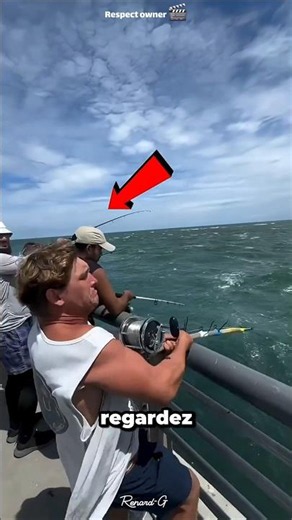 Sa Canne A Pêche S’est Coincée Et Il a Sauter Dans L’eau🤯