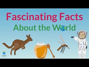 Fun Facts About the World | World Trivia