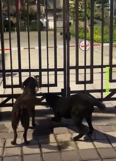 1.1K views | KCE College on Reels | Facebook