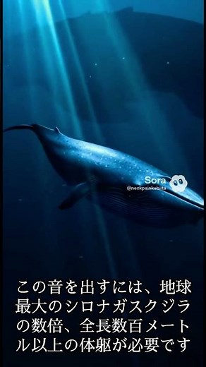 【閲覧注意】深海で観測された謎の爆音「The Bloop」。NASAも関与する巨大生物の正体とは？