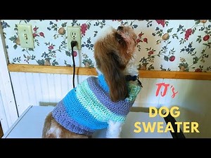 How to Crochet a Dog Sweater