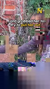 180K views · 1.5K reactions | Faith in humanity restored 凉 | Newsner.com | Facebook