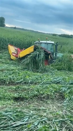ВОТ ЭТО ТЕХНИКА🔥 #агротехнологии #tractor #farming #трактор #agriculture #mechanic #агро #farm