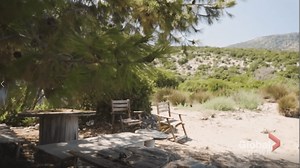 AMA Travel: Travel insurance