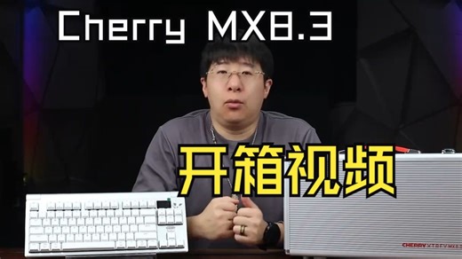 新轴 军火箱回归，Cherry MX8.3极光版详测！