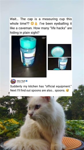 Cap Is a Measuring Cup—A Polite Little Kitchen Surprise