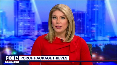 Thieves caught on camera stealing packages