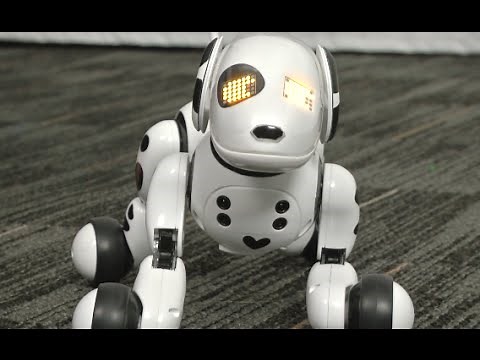 Zoomer 2.0 from Spin Master