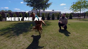 1.3K views · 87 reactions | Meet Mo, North Carolina's first dog travel agent!  Mo is:  a rescue doggo  5 years old from Charlotte She's here to help you and your hoomans find all of the most woof-worthy spots in our state! Get to know her: DogTravelAgent.com | Visit North Carolina | Facebook