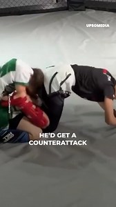 22K views · 38 reactions | He did all he could to hit him, but his “turtle shell” was inaccessible and in a moment of carelessness, he got a brutal counterattack. | Positive | Facebook