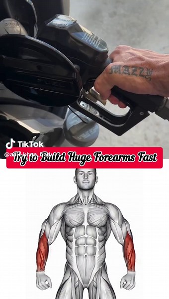 Brutal Forearms Workout 🔥 Build Insane Grip Strength & Veiny Arms Fast Description: If you’re tired of weak grip and skinny forearms, this is your wake-up call. This intense forearm workout is designed to build raw strength, thick muscle, and that vascular look that stands out instantly. No fluff—just powerful, effective movements that target every part of your forearms and grip. In this video, you’ll learn how to perform: EZ-Barbell Seated Wrist Curl, Weighted Plate Standing Biceps Curl, Band