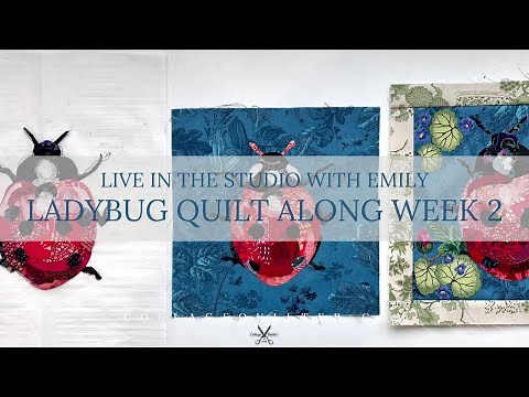 Ladybug Quilt Along Week 2