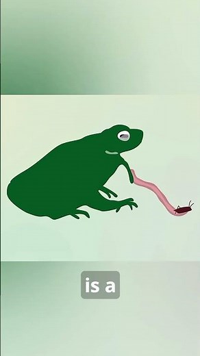 Frog swallowing depends on eyeball pressure #facts #animals #wildlife #nature #frog #frogfacts