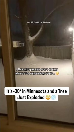 TREE EXPLOSION It’s -30° in Minnesota and a Tree Just Exploded 😳❄️