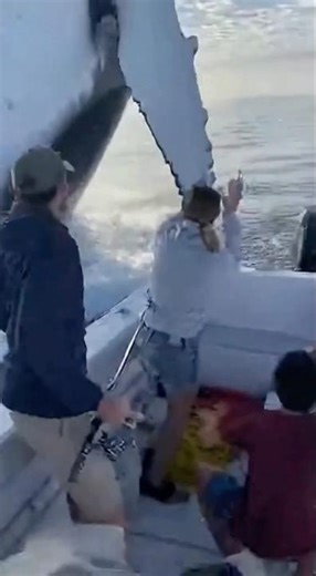 Massive humpback erupts out of water near boat #wildlife #shorts