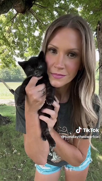 Raising a Special Cat: Our Journey with Tuesday the Dwarf Cat