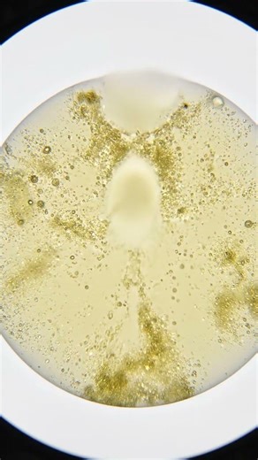 Inside America’s Modern Factory Process | Industrial Manufacturing 2026