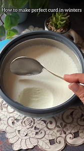 39K views · 270 reactions | How to make perfect curd at home #curd #yougurt #homemadegcurd #dahirecipe #madhaviskitchen | Madhavi's Kitchen | Facebook