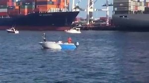 11K views · 48 reactions | Plenty of salmon about in the harbour with these guy on a double hook up | Perth & WA Fishing Reports | Facebook