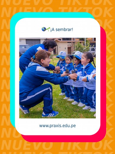Sembrando con niños: reforestación y cuidados del ambiente