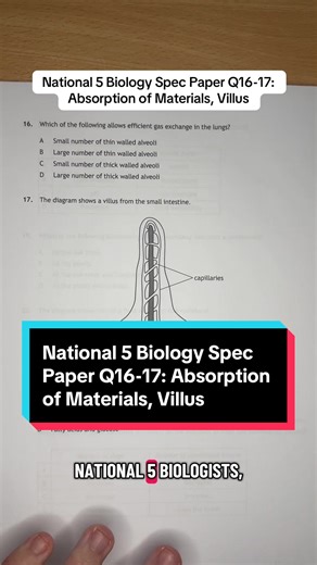 Understanding Absorption of Materials in Biology