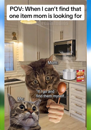 Cat Memes 🍌😸 When I can’t find the item my mom is looking for #cat #catmemes #fyp #relatable #funny