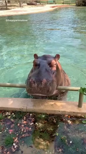 The full commitment and gracefully stretched out chin & neck, this is so cute | Penélope Cruz Official
