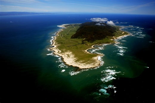 Lugares turísticos en Chile: si visitas Isla Mocha, esto debes saber