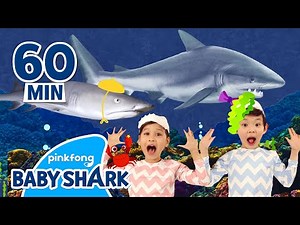 Best Baby Shark Songs and More | +Compilation | Baby Shark Remix | Baby Shark Official