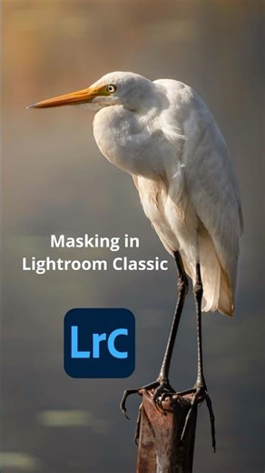 No heavy edits.Just using masking in Lightroom.