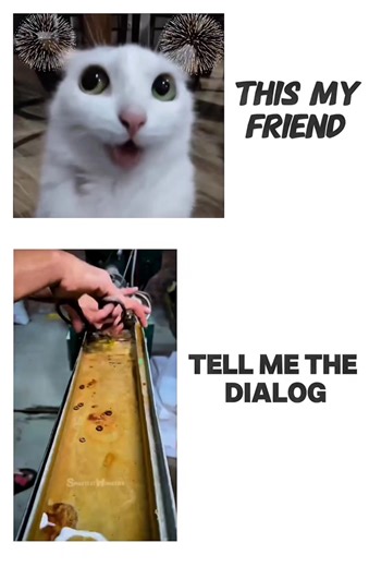 tell me my friend 🤣🗣️ @°°AhMeD ShAnTo°° @Ham. z.🥂