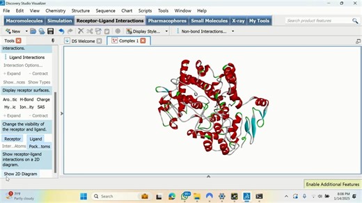 Post Docking Analysis Simplified. Common Mistakes Corrected.