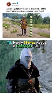 TIL Henry Stands About 8 Cabbages Tall - KCD2