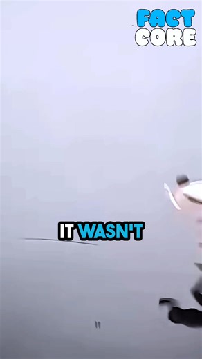 Boy mistakes frozen road for water — hilarious surprise! ❄️😲 | Abdelouahab Laatl