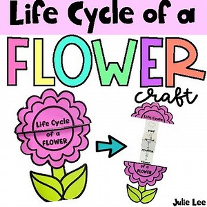 Life Cycle of a Flower Plant Craft and Spring Activities for Kindergarten Prek