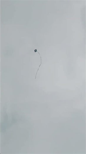 #trending #comedy #schoollife #funny Duniya ka sabse bada Putri wala Patang #funniestvideo 💪🏻🫢👀🆒👀👀