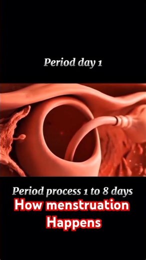 This is what exactly happens in women during Menstruation. #menstruation #women #blood .