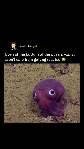 Inside History | Researchers from the Nautilus exploration vessel were cruising along the deep sea floor off California’s coast when they came upon the... | Instagram