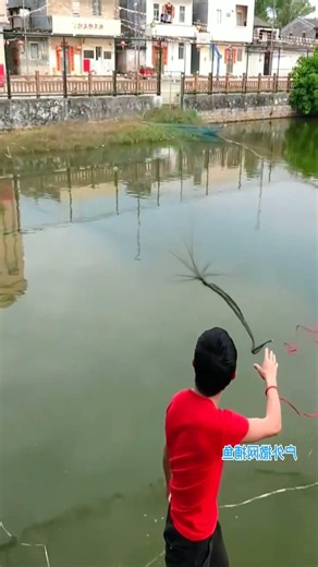 how to throw a casting net #fishing #net #fishvideo