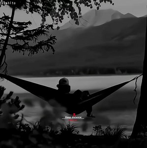 480K views · 14K reactions | Deep pain  | Deep D i s t a n c e | Facebook