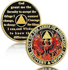 Phoenix in Fire 10 Year Sobriety Coin, Reborn in a Fire Ten Year Sober Chip - AA Chips and Medallion - Recovery AA Coin - Alcoholics Anonymous Sobriety Gifts for Men Women