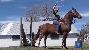 100K views · 1.2K reactions | Love this! 朗 Rusty is a NEW style of...