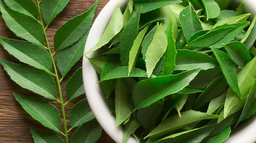 Consuming Curry Leaves Daily: Here Are Its Pros And Cons