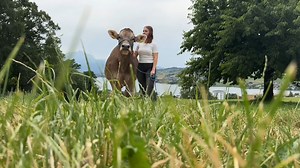 Braunvieh Schweiz - More Than Milk 🐂🇨🇭 | Braunvieh Schweiz