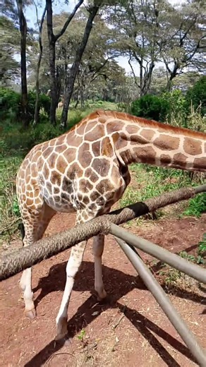 2025 Midas Golden Academy Year in Review