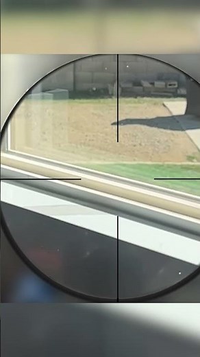 Household Pest Sniping… One Shot, One Kill 🕹️🐞